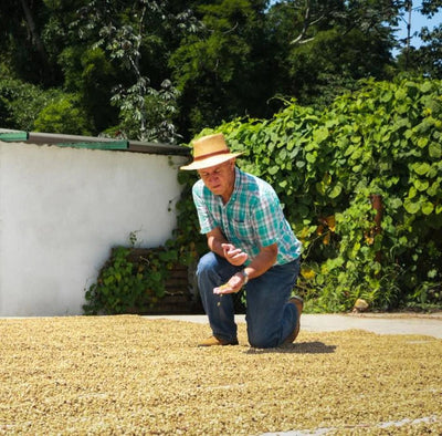 Meet Our Farmers - Finca San Francisco, Mexico