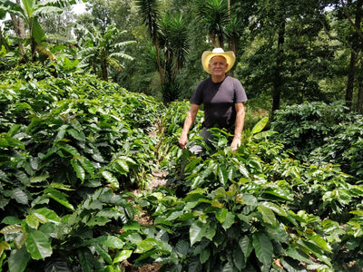 Meet Our Farmers _ Pedro Fiallos