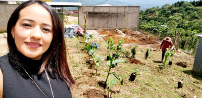 Meet Our Farmers - Finca Buenos Aires, Honduras