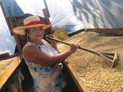 Meet Our Farmers - Finca El Trapiche, Honduras