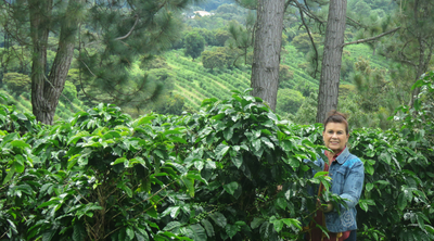 Meet our Farmers - Finca Cafelandia, Panamá